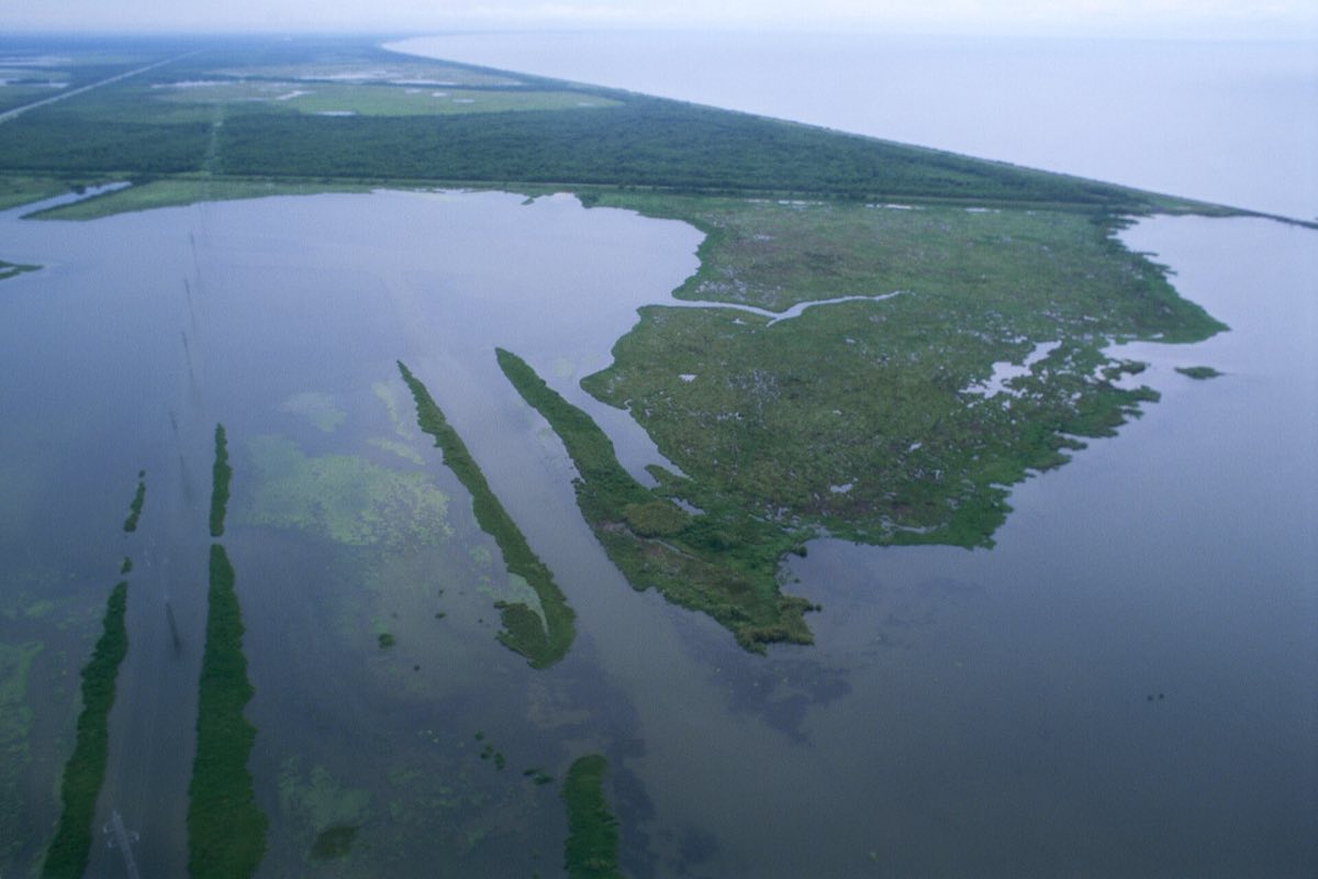 Aerial view of Louisiana wetlands, showing waterways cutting through marsh grass